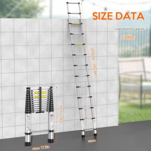 Telescoping Extension Ladder (12.5 FT)