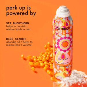 Perk Up Talc-Free Dry Shampoo