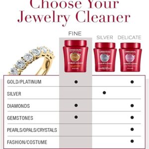 CONNOISSEURS Premium Jewelry Cleaner (9.6oz)