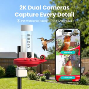 Birdfy Hummingbird Feeder with Dual Cameras