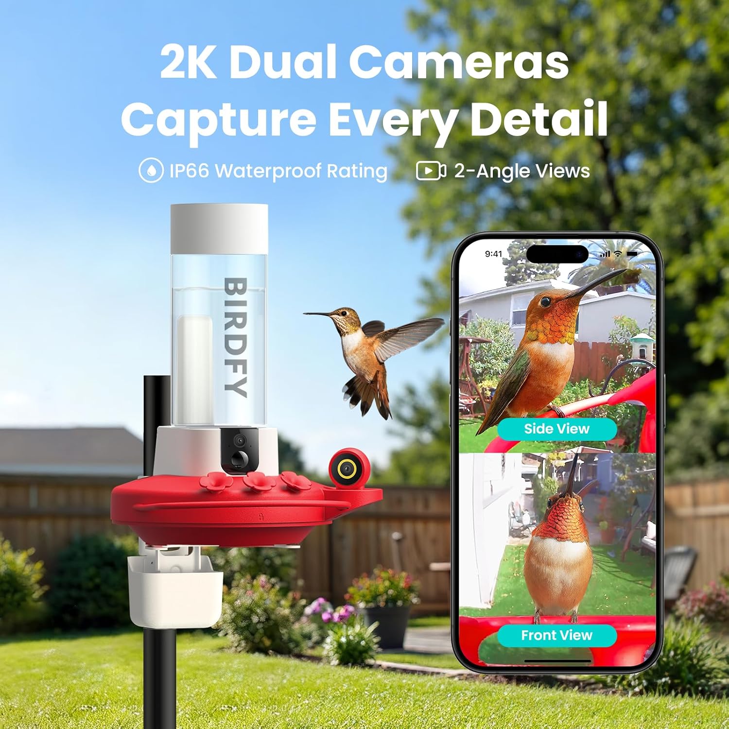 Birdfy Hummingbird Feeder with Dual Cameras