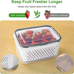 Freshmage Fruit Storage Containers (4PCS)